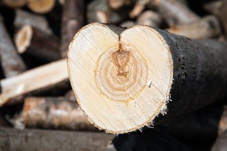 Sawn wood, firewood for winter. Garden worksの写真素材