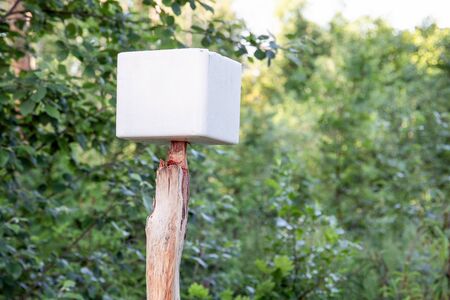 Salt cube in the forest for wild animals. Green forest, summer and nature