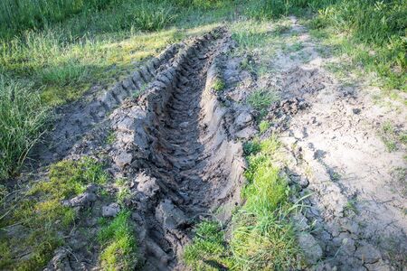 Tractor tire tracks in mud, green grass around, dried up ground in sunの写真素材