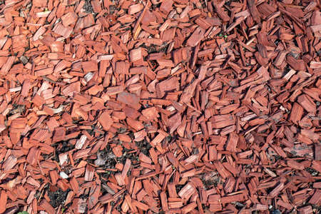 Brown wood chip mulch. Texture background. Horticulture and greeneryの写真素材