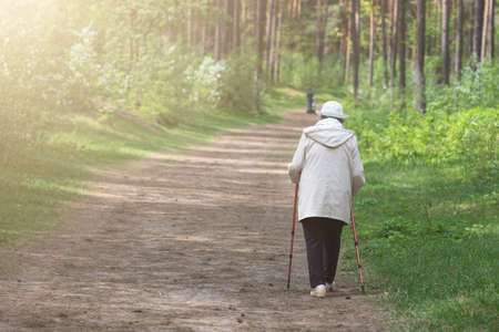 Retirement. Nordic walking in the forest or park. Healthy lifestyleの写真素材