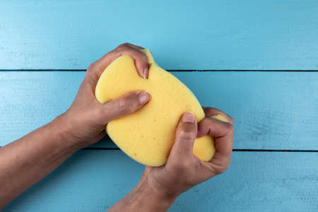 Woman squeeze a yellow sponge in her hands. Blue wooden background