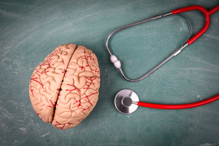 Plastic brain model and doctors stethoscope. Fake news conceptの写真素材