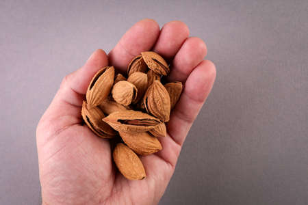 Almonds in a man s hand. Palm on a gray background