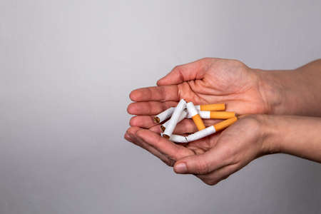 Stack of broken cigarettes in a womans hands. Quit smoking