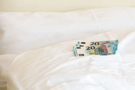 Euro banknotes on a pillow. Services and paymentの写真素材