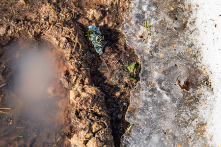 Melting snow and puddles. Sunny weather and springの写真素材