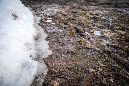 Melting snow and mud. Thaw and springの写真素材