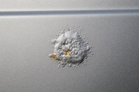 Blown paint bubble, rust spot on car. Peeled paintの写真素材