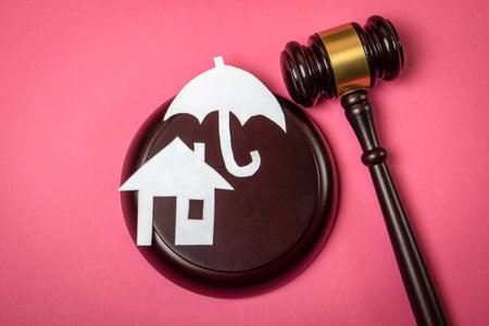 Property insurance, law and regulation. Judicial gavel and paper figuresの写真素材