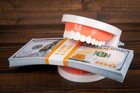 Packet of dollar banknotes between the teeth, dental costs conceptの写真素材