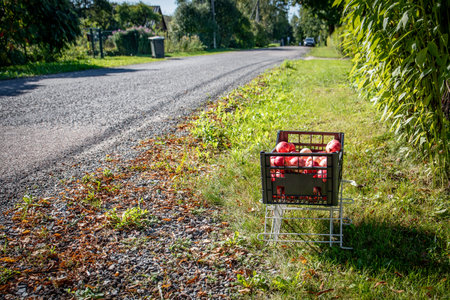 Box of apples on the side of the street. Autumn conceptの写真素材