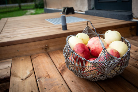 Wicker metal basket with ripe apples on the wooden terraceの写真素材