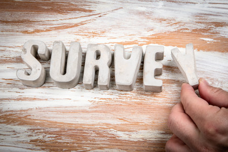 SURVEY Concrete alphabet letters on a light painted wood texture backgroundの写真素材