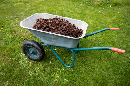 Wheelbarrow Filled with Mulch on Grass Lawn for Gardening and Landscaping Use