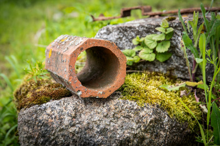 Old Clay Pipe on Moss-Covered Stone in Green Nature Setting
