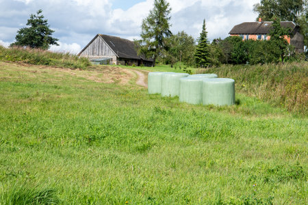 Rural countryside scene with wrapped silage bales near an old wooden barn and a residential house on a green summer meadowの写真素材