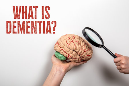 Understanding dementia and brain health through magnified model examination