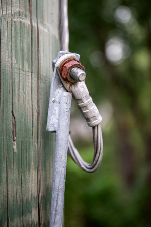 Detailed view of a steel cable secured to a wooden utility pole with a metal clamp and rusty bolt outdoorsの写真素材