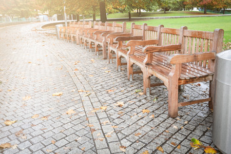 Row of wooden benches in park on paved walkway with autumn leaves and morning sunlightの写真素材