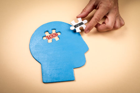 Concept of training and mentoring represented by puzzle pieces fitting into a blue human head shapeの写真素材
