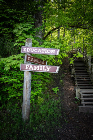 Direction Signpost Showing Education, Career and Family Choices in Forestの写真素材