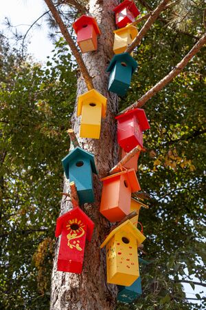 Colorful wooden beehives in forest. Respect for wild animals and birds. needlework. wintering of...