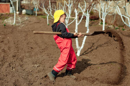 A child with a garden tool in a vegetable garden next to garden trees works and helps plant trees and vegetables in the countrysideの写真素材