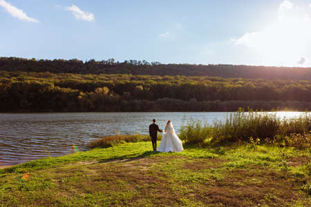 Newlyweds walk along the trees alley in the park. Wedding day in summer.の写真素材