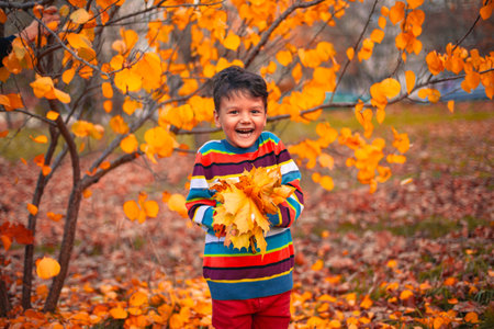 A Joyful Child Happily Playing Amongst Vibrant Autumn Leaves in Beautiful Colorsの写真素材