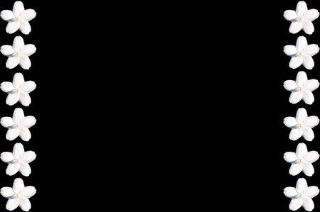 flower on black backgroundの写真素材