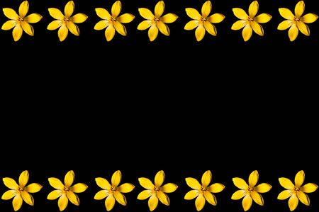 yellow flowerの写真素材
