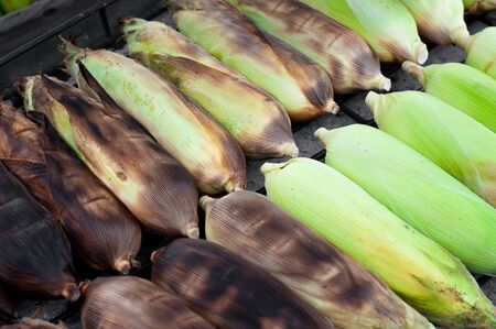 raw corn in shell ready to be cooked. selective focus