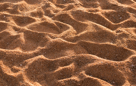 many human footprints on the sand with sunlight in warm tone periodの写真素材