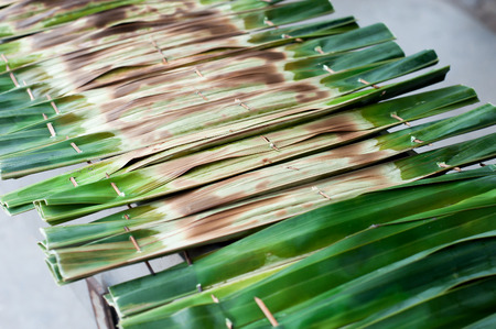 Khanom jaak,Nipa palm dessert, Thai sweetmeat made of flour, coconut and sugar, wrapped in leaves and then grilledの写真素材