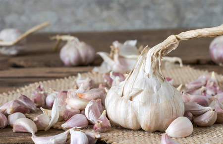 Big garlic among seed garlic on old wooden table with big garlic backgroundの写真素材
