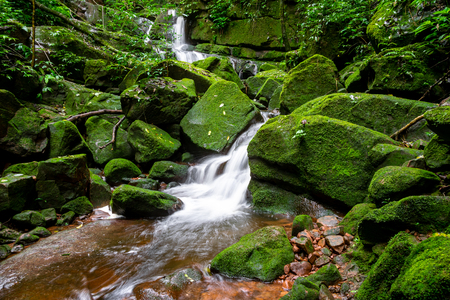 Waterfall among nature green moss and rock.の写真素材