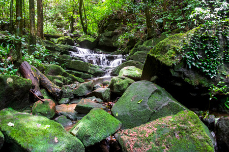 Waterfall among nature green moss and rock.の写真素材