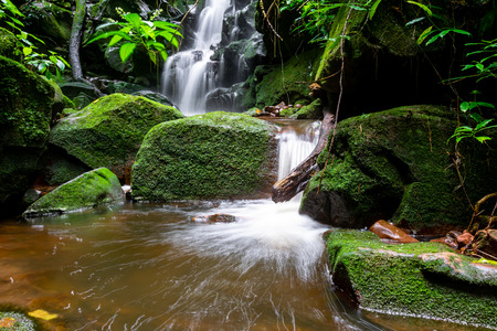 Waterfall among nature green moss and rock.の写真素材
