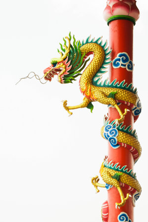 Golden dragonの写真素材