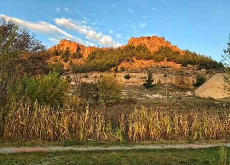 A lofty mountain, natural life image