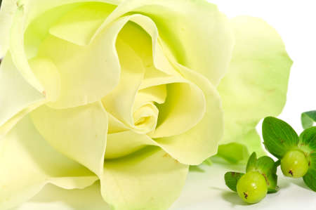 Yellow rose and decorationsの写真素材
