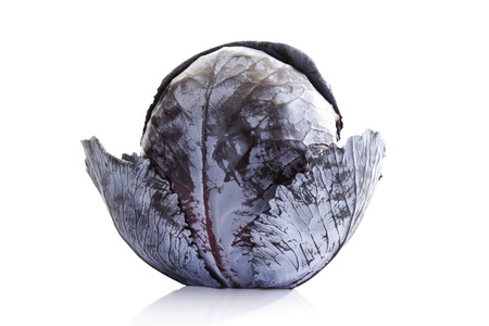 Raw red cabbage (Brassica oleracea)の写真素材