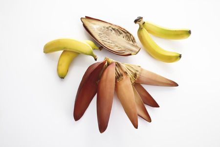 Banana flower and bananasの写真素材