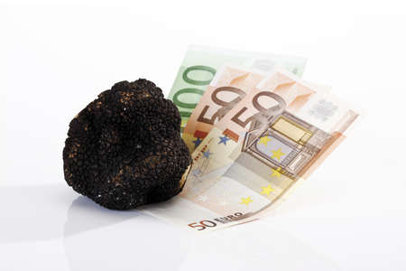 Euro notes and black Truffleの写真素材