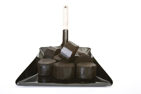 Lignite briquettes on Dustpanの写真素材