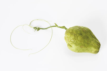 Chayote fruit (Sechium edule)
