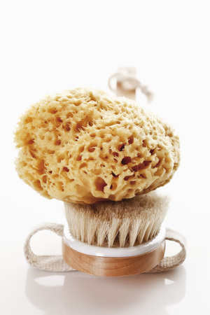 Natural sponge on back brushの写真素材