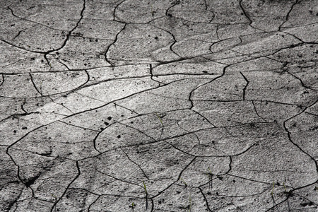 Germany, Bavaria, Irschenhausen, Cracked earth