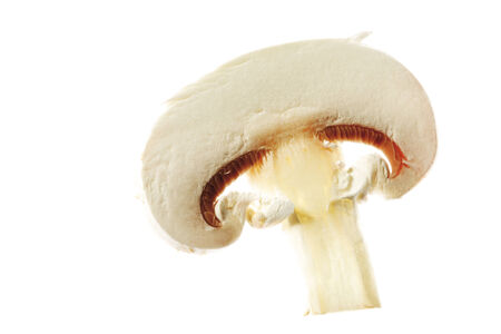 White mushroom slice, close-upの写真素材